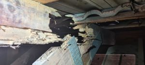 roof truss destroyed by termites